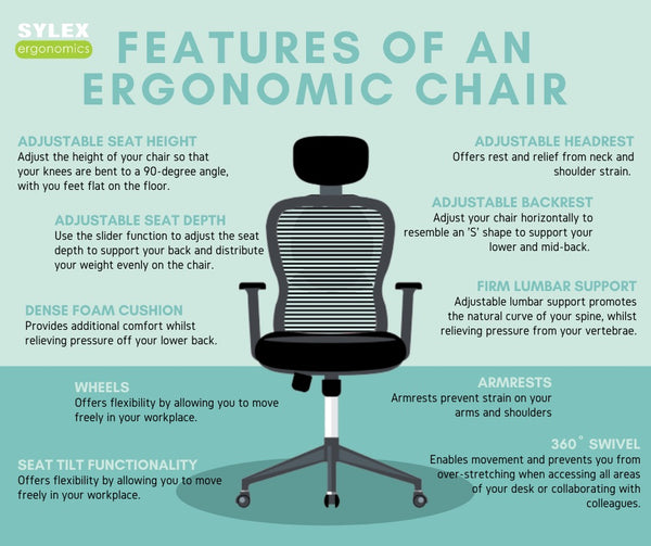 Good office ergonomics start with a great chair : Rogards