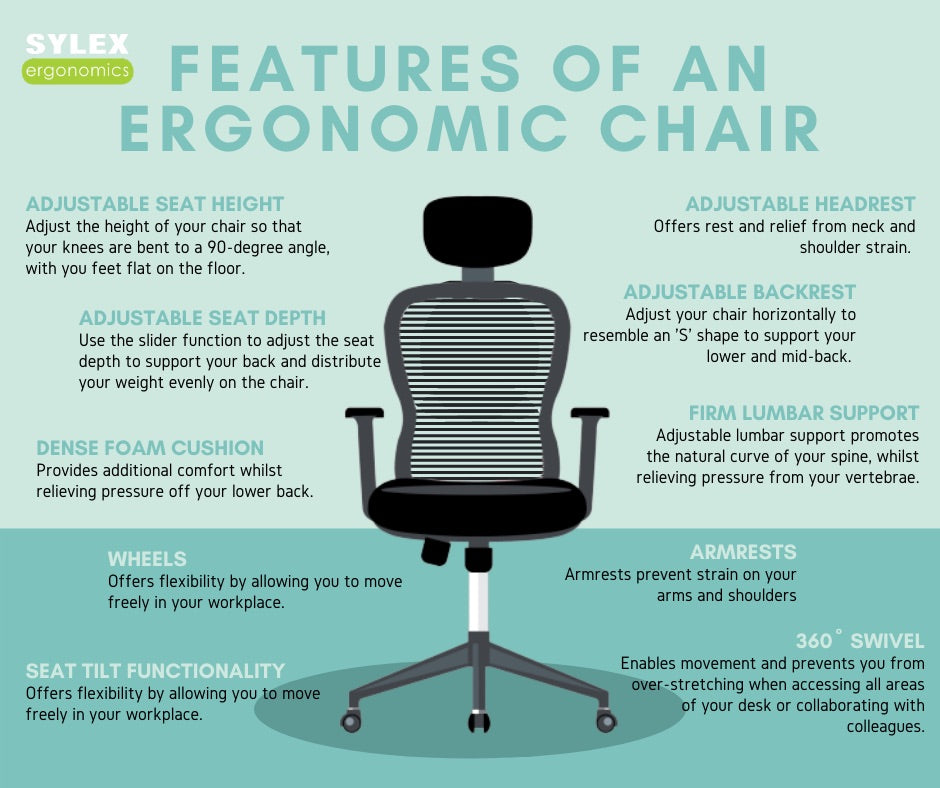 Features of an Ergonomic Office Chair